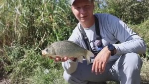 Тут хороший клёв карася, рыбалка на донную снасть