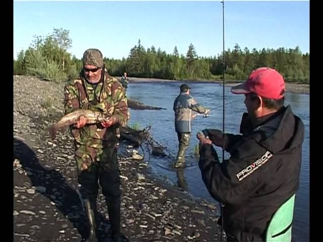 Анатолий Полотно - Тогда