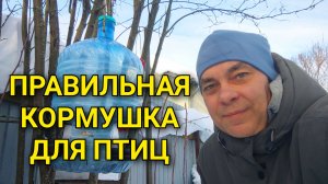 ЧУДО КОРМУШКА ДЛЯ ПТИЦ СВОИМИ РУКАМИ ИЗ ПЛАСТИКОВОЙ БУТЫЛИ