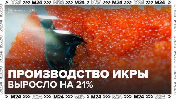 Производство красной икры выросло на 21% в России - Москва 24