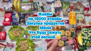 Живём на 18000 втроём , меню, закупка продуктов. Что буду сажать этой весной #экономноеменю