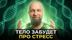 ОСТОРОЖНО: Ваша голова станет светлой! Восстановление НЕРВОВ и Выход ПСИХИЧЕСКОГО Яда
