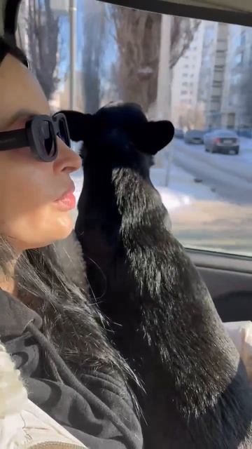 Амур и ракетная опасность от Светланы 10.02.26. смотреть онлайн