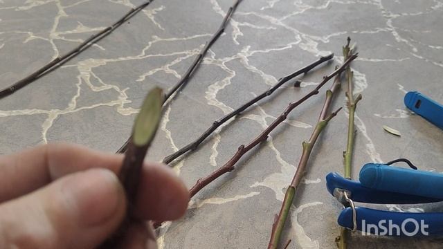 Где истина? Все давно прописано. смотреть онлайн