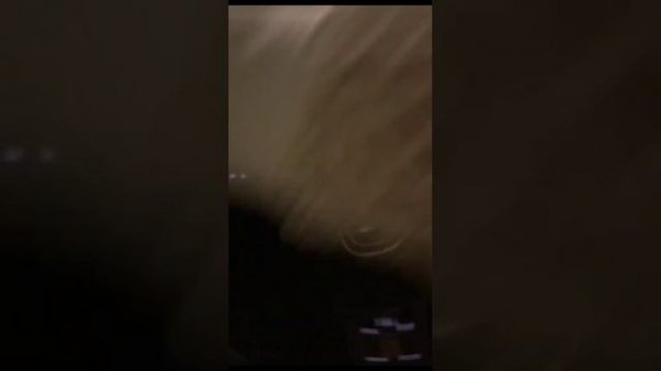 CHANGAN смотрим на очередные технологии автомобиля