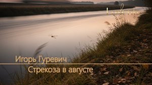 Игорь Гуревич - Стрекоза в августе