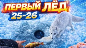 Первый лёд 25-26. Боремся с песцами за рыбу