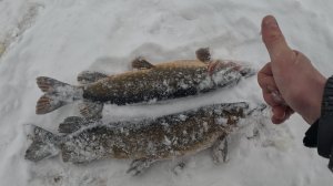 Щука в ГЛУХОЗИМЬЕ!