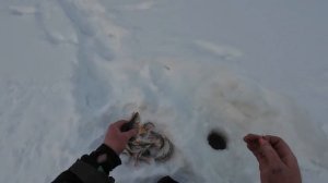 Рыбалка на озере. Попали на раздачу окуня!