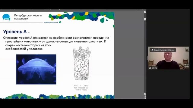 Упражнение Медуза