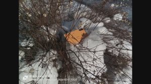 Blackview Rock 1 - примеры фото и видео (стоковые камеры)