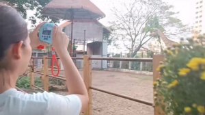 Хошимин, яичный кофе,  зоопарк, метро