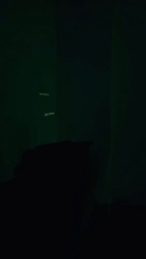 УТКА ИЛИ ЛЕБЕДЬ ЭТО? 🤔❤️