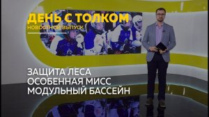 День с Толком 10.02.2026