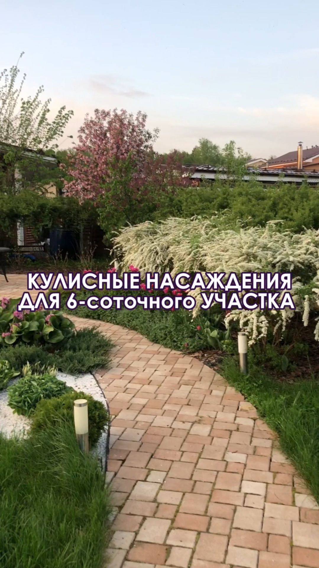 Что посадить вдоль забора на маленьком участке