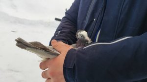 10.02.2026г Подарок на День рождения Станиславу!!!