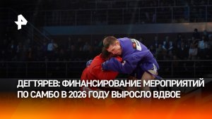 Дегтярев заявил об увеличении финансирования мероприятий по самбо