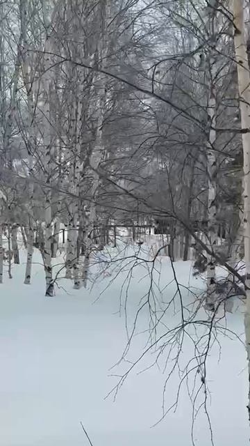 кай и герда ЗИМА