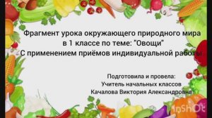 Видеофрагмент «Применение приемов индивидуальной работы» на уроке ОПМ 1, (АООП ТМНР в.2)