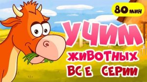РАЗВИВАЮЩИЕ мультики про животных для детей! 🐥🐶🐭