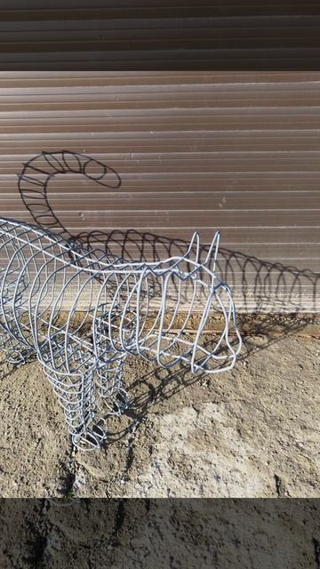 кошечка/kitty