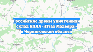 Российские дроны уничтожили склад БПЛА «Птах Мадьяра» в Черниговской области