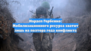 В Верховной раде оценили мобилизационный ресурс Украины