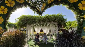 Самый большой сад цветов в мире. Самые высокие фонтаны. Дубай  2026.