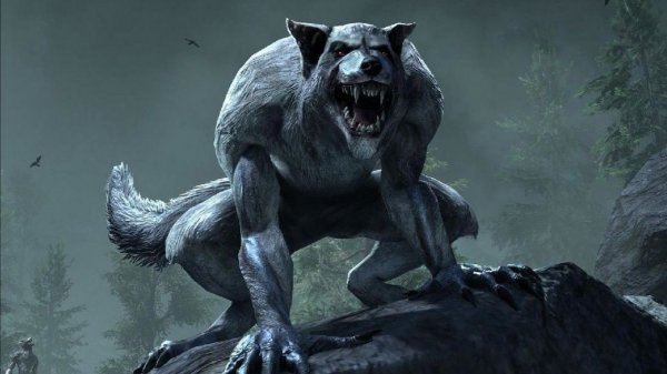 TESO BattleGrounds WW | 2