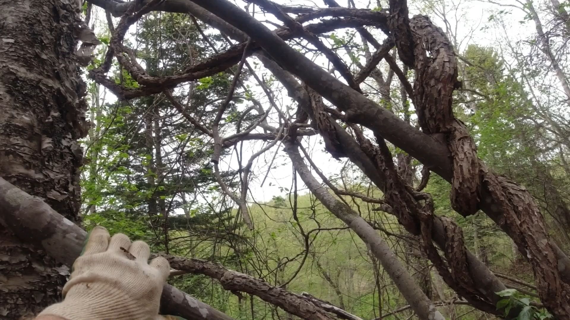 Интересное место 2 часть На природе всё усыпано металлом.Дождь поторопил на выезд смотреть онлайн