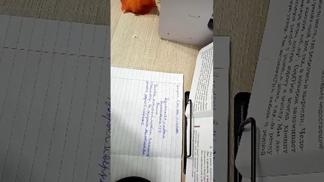 10-02-2026 смотреть онлайн