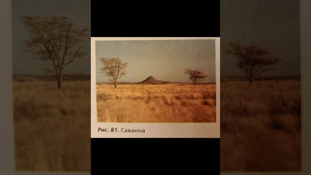 Биология 7 класс. Растительные сообщества. смотреть онлайн