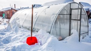 Подготовка теплицы к весне