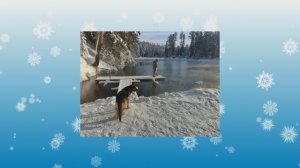 17.01.2026 о.Тёплое