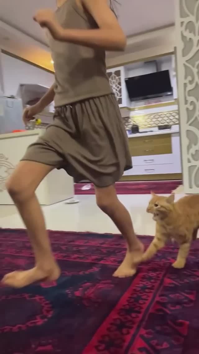 Хищник смотреть онлайн