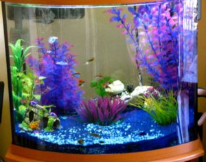 дискотэта 80-х