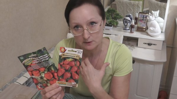 Февраль 2026 г. Оладьи из свох кабачков. Тренируюсь к дачному сезону. Сею землянику. Мужчинки кусты)