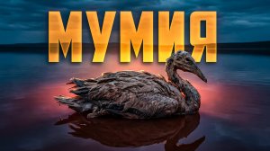 Только в Африке: озёра-мумификаторы и города на воде