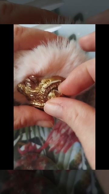 Нежные совушки 🦉🦉