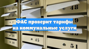 ФАС проверит тарифы на коммунальные услуги после массовых жалоб россиян