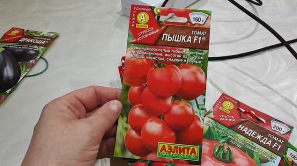 МЫ ВЕРНУЛИСЬ/ С РАДОСТНЫМИ НОВОСТЯМИ