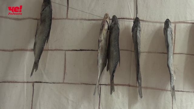 год национальностей смотреть онлайн