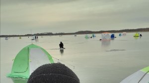 РАЗДАЧА КАРАСЯ В 2026 м.