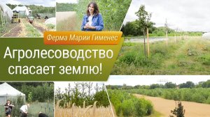 Агролесоводство спасает землю!