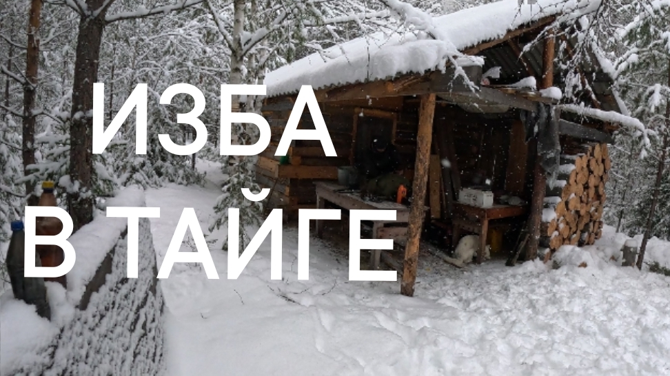 ТАЁЖНАЯ ИЗБА/ ДИАЛОГ О ЛЕСНОЙ ЖИЗНИ смотреть онлайн