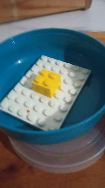 Я приготовил яичницу