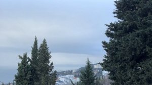 Ялта. На горы и море - можно смотреть бесконечно... 09.02.2026. Крым. Crimea. Yalta.