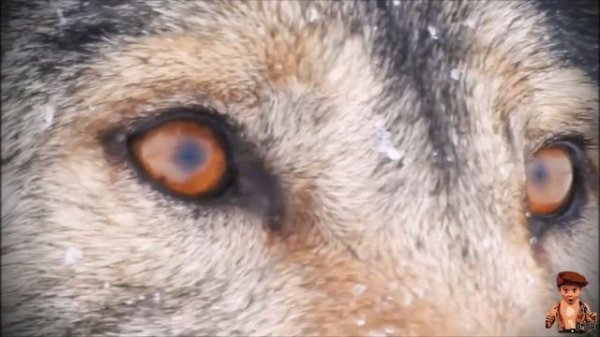 Garik Garik  Камень Не Кидай...💯