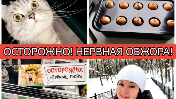 10-02-2026 Посадила лук🧅и пошла в лес🌳Гуляю по городу и магазинам 👍Мои покупки🛒Настроение шутить