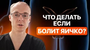 Болит яичко. Что делать если болит яичко? Врач уролог-андролог. Москва.